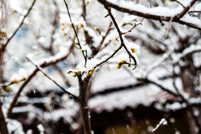 箭已经横扫